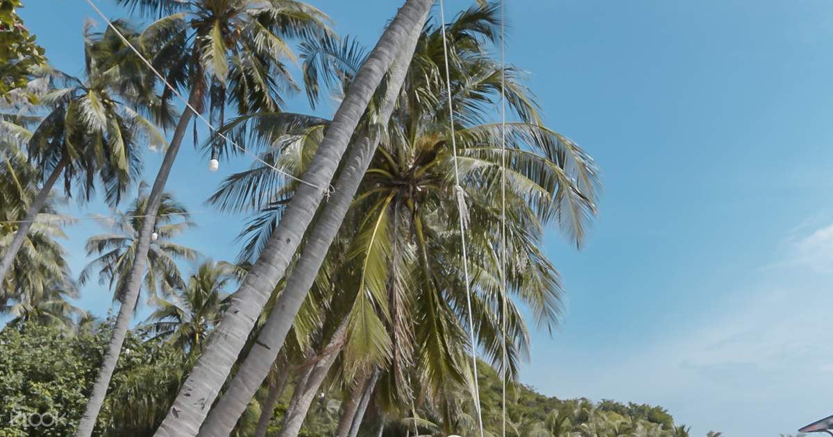 ベトナム フーコック島 ケーブルカー体験付き島めぐり日帰りツアー Klook クルック ベトナム フーコック島 ケーブルカー体験付き島めぐり日帰りツアー Klook クルック